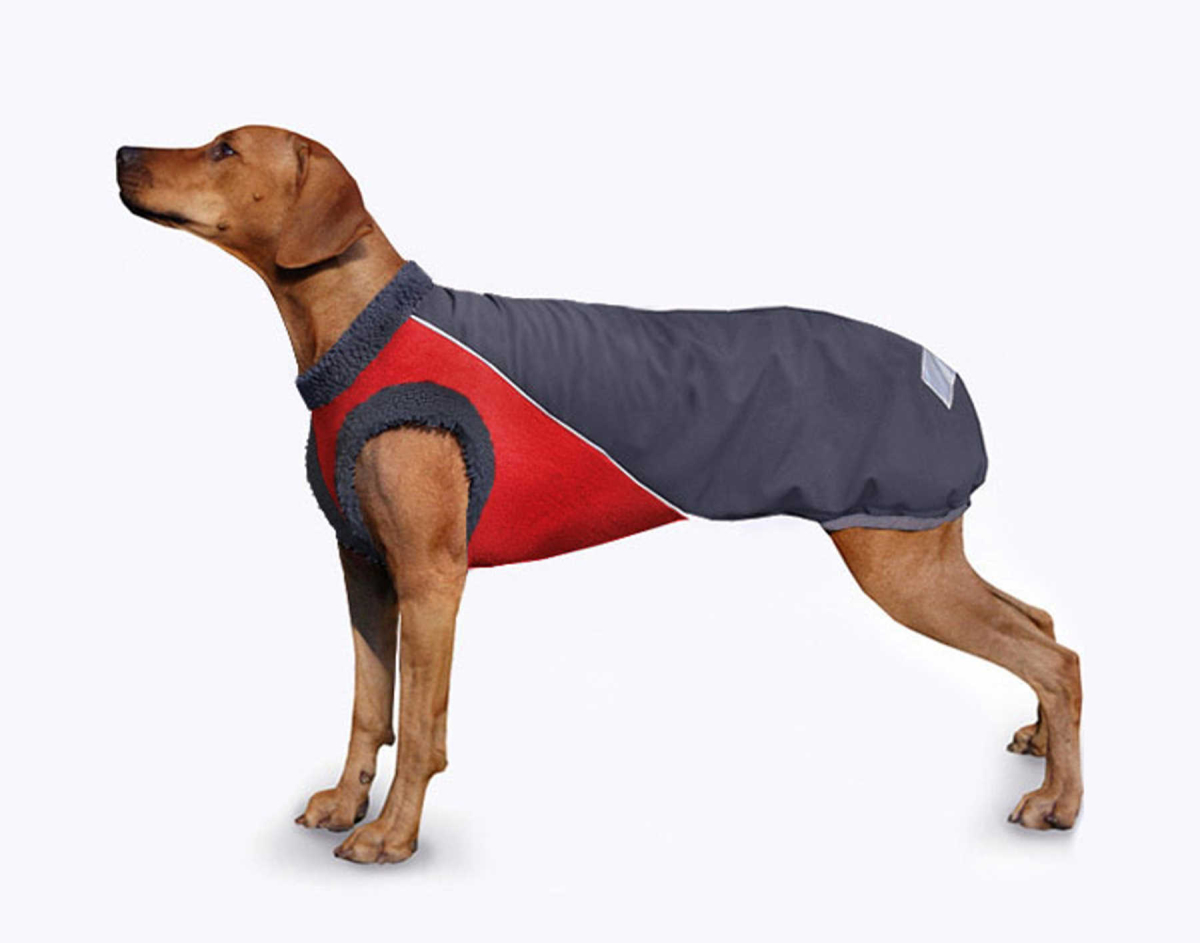 Softshellmantel COMFORT Grau/Rot Gr. S