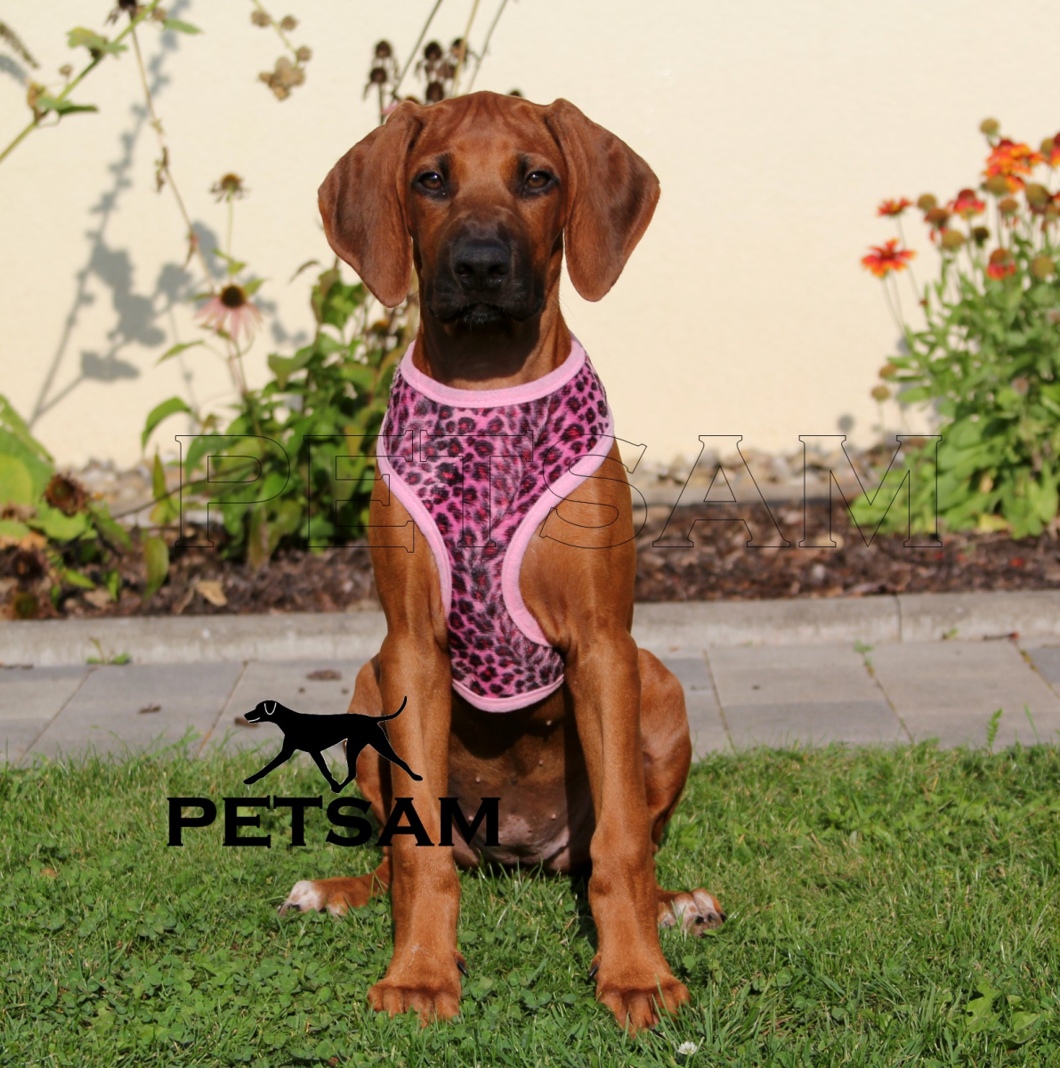 Fellimitat Softgeschirr LEOPARD ROSA (kleine Welpen) Geschirr