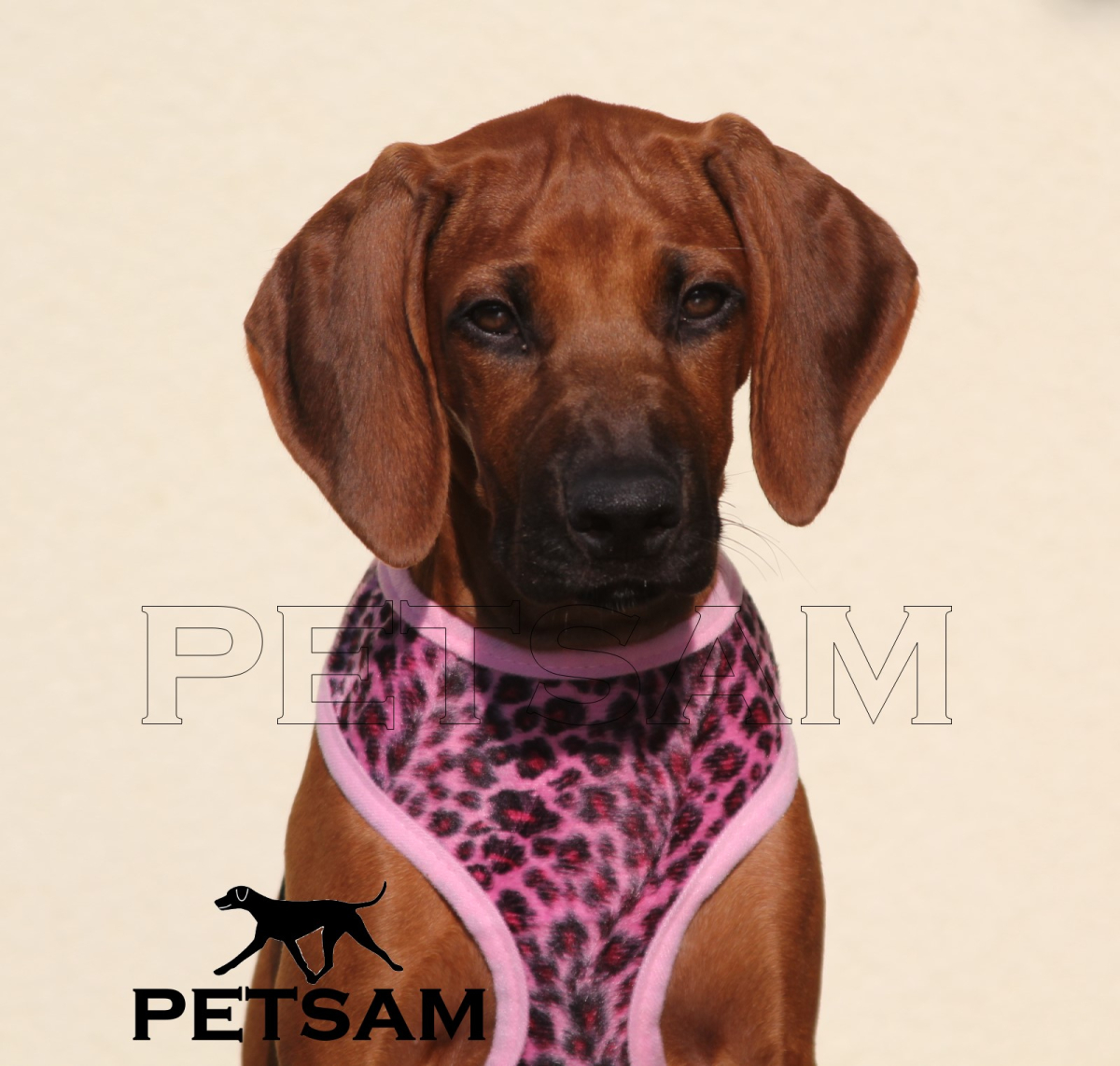Fellimitat Softgeschirr LEOPARD ROSA (kleine Welpen) Geschirr