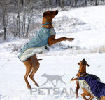 Hundemantel LUX Hellblau / Grau Gr. S