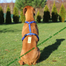 Hunter SCHWARZ Vario Y-Brustgeschirr Hundegeschirr Y-Geschirr