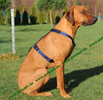 Hunter MARINEBLAU Vario Y-Brustgeschirr Hundegeschirr Y-Geschirr