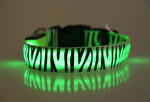 LED-Halsband grün Zebra (Batterie)