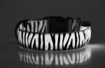 LED-Halsband weiß Zebra (Batterie)