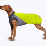 Softshellmantel -Winter Safety Neongelb/grau S - ABVERKAUF